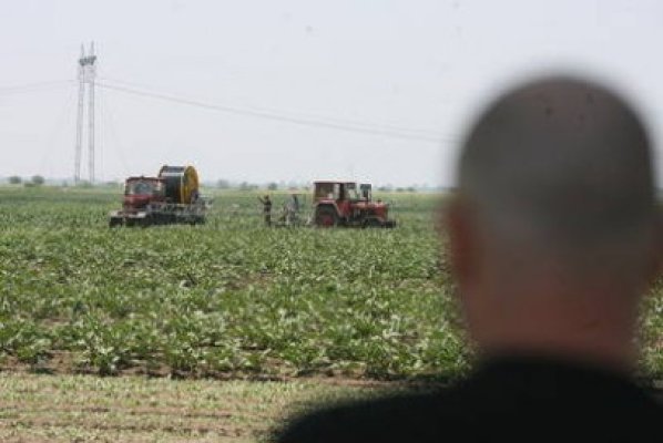 Dosar penal la Mihail Kogălniceanu